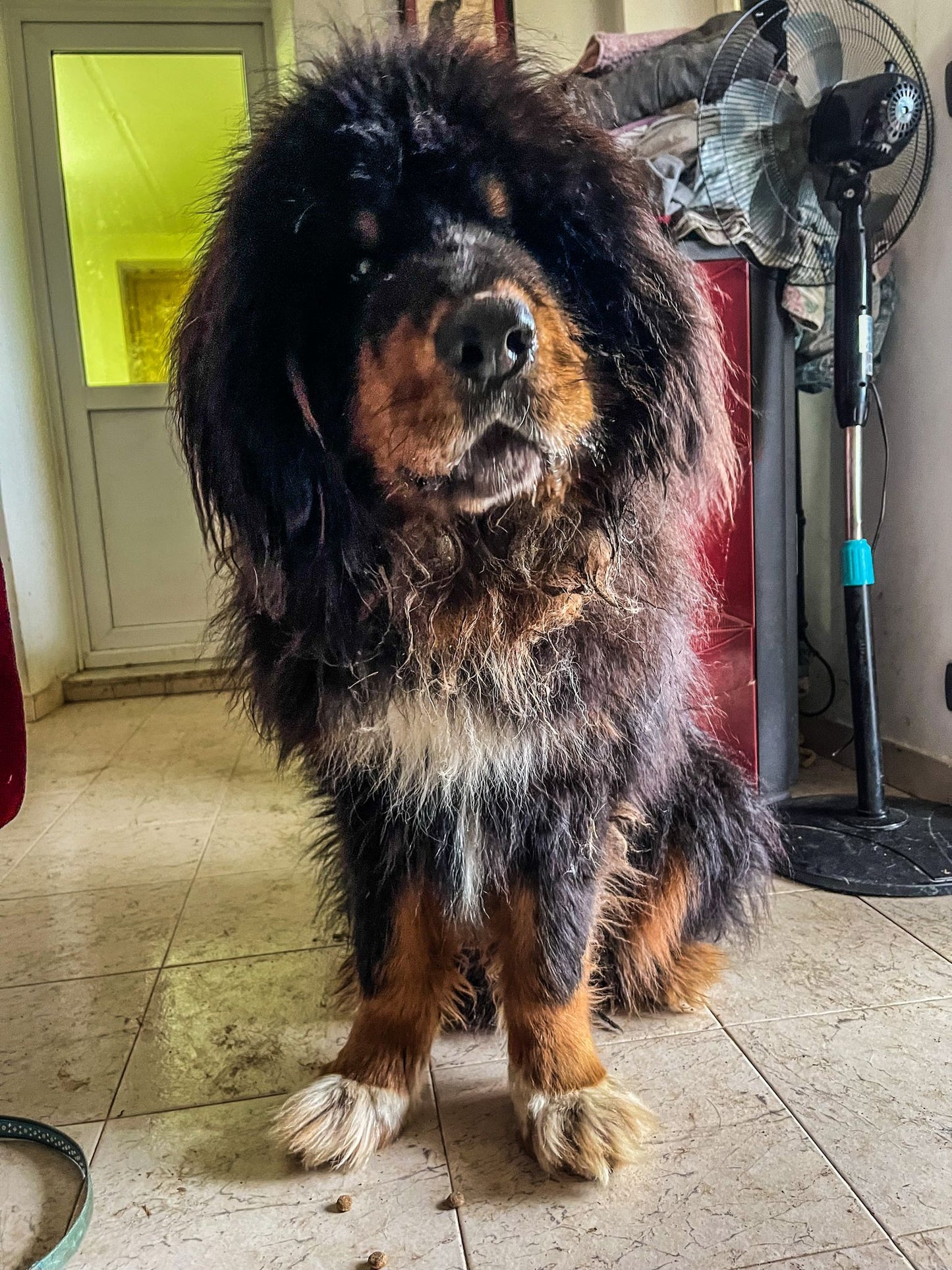 Frito
