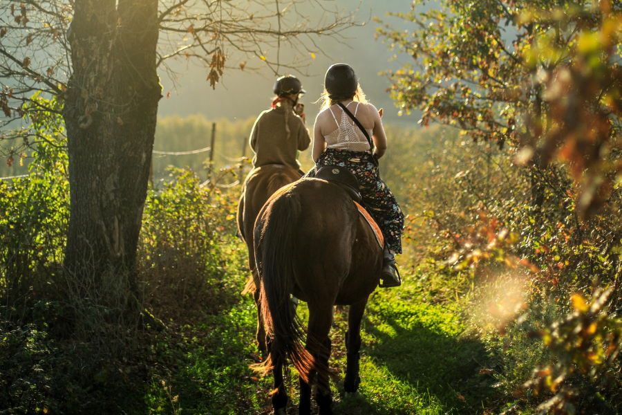 Adventure Ride: Mountain and Forest Trail