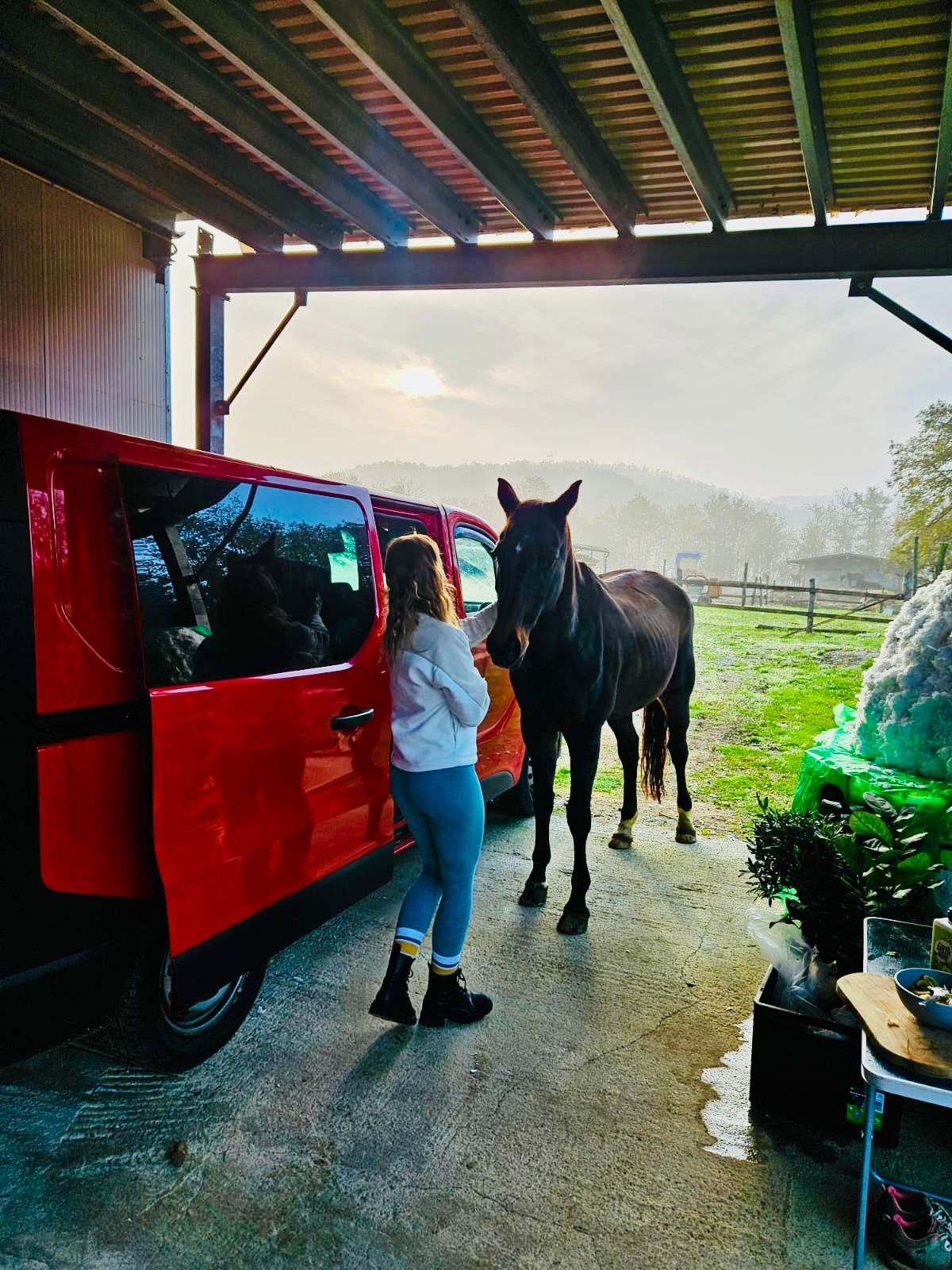 Book a stay! (VAN-Life)